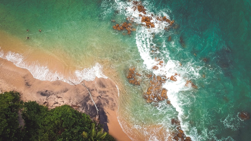 aquatic sport, aerial view, tree, high angle view, tabatinga beach, palm, land, coconut, no people, nature, power in nature, aerial shot, sealife, rocks