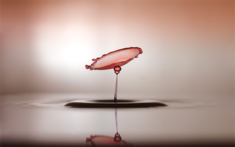 pink, 1080P, macro, water drops, depth of field, blurred, photography
