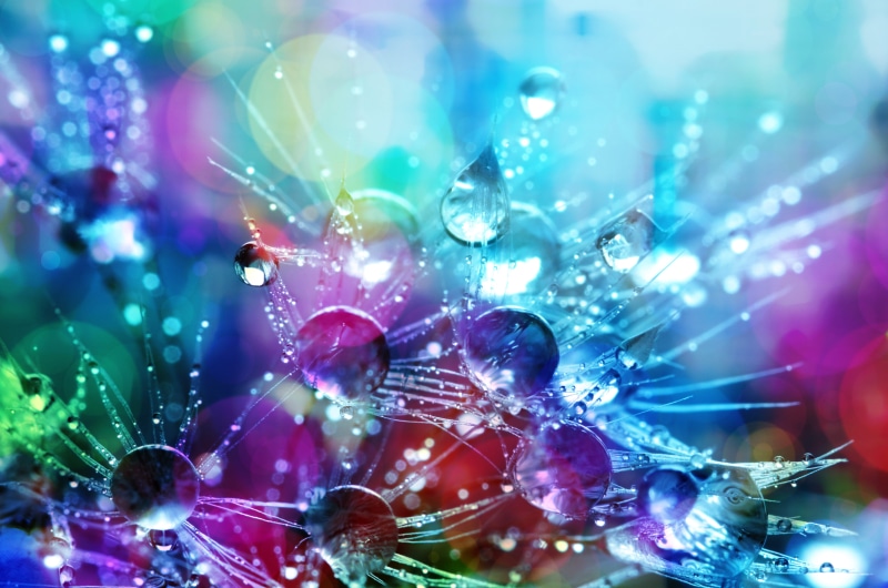 vulnerability, lens flare, selective focus, water drops, raindrops, blurred background, fragility, outdoors, macro photography, colors, bright colours