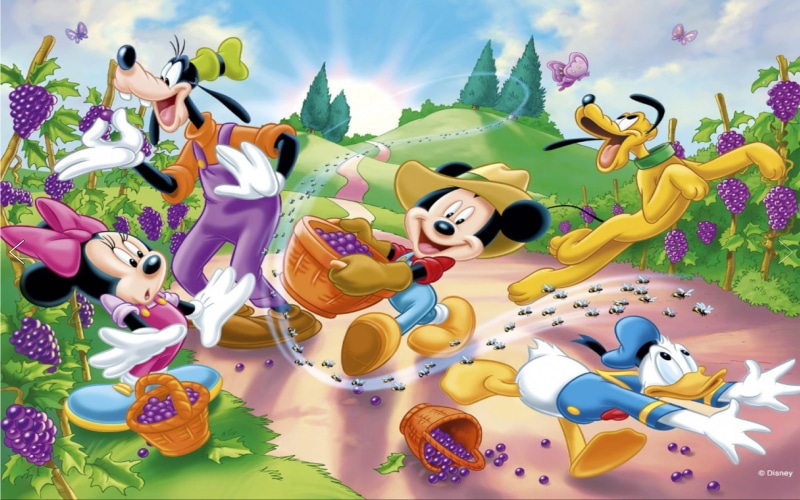 4K, sky, harvesting, mickey, celebration, donald, grape, festival, mammal, pluto, duck, goofy, representation, large group of objects, art and craft