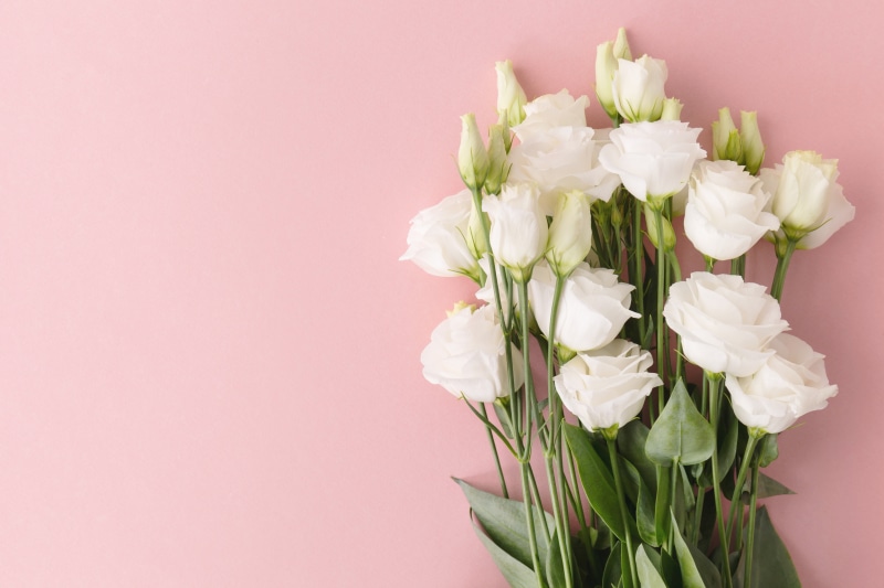Bouquet, White, 5K, Pink background, Flowers, Eustoma