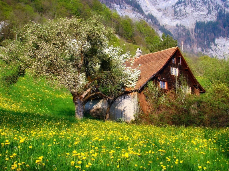 shrubs, land, mountains, photography, building exterior, nature, trees, 720P, plant, field, growth, building, scenics - nature, rural scene, beauty in nature