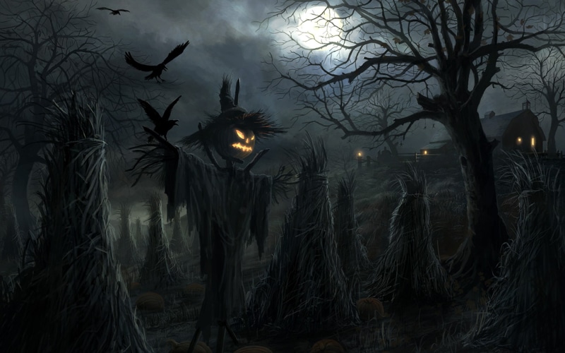 holidays, scarecrow, pumpkin, 1080P, illustration