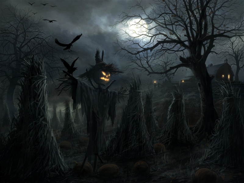 near, raven, shirt, no people, night, animal, animal themes, spooky, wearing, Halloween, tree, fog, mystery, 720P, lighting equipment, fear, full moon