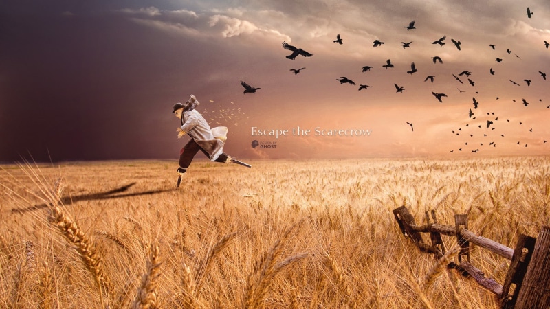 one person, land, nature, beauty in nature, field, scarecrows, large group of animals, cereal plant, landscape, vertebrate, agriculture, animals in the wild