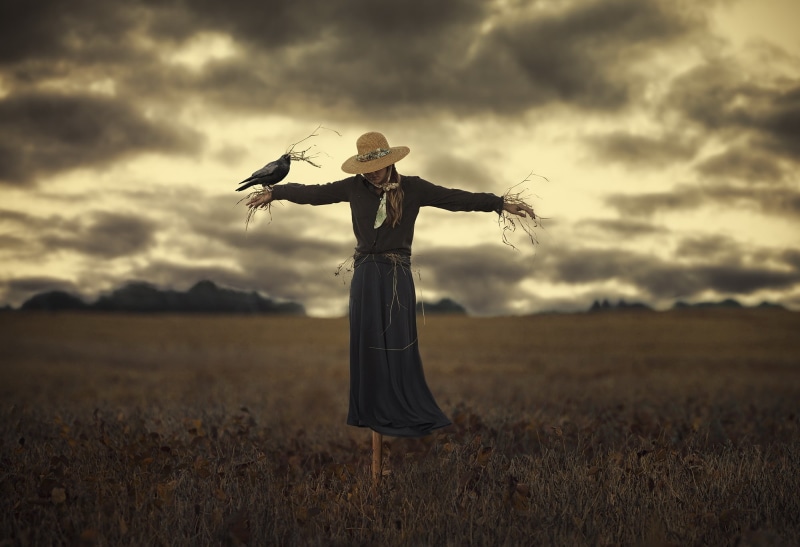 the situation, Scarecrow, bird, 1080P, girl