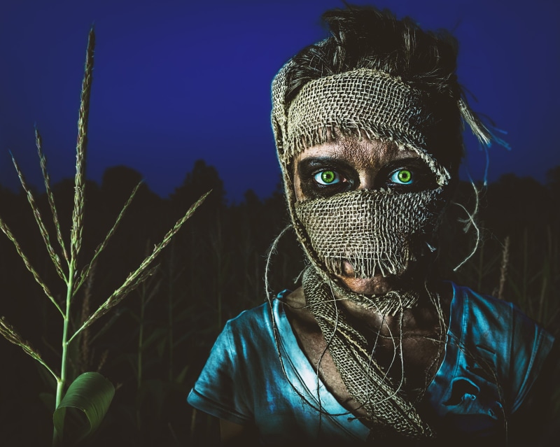 Bryan McGowan, 1080P, horror, scarecrows, green eyes