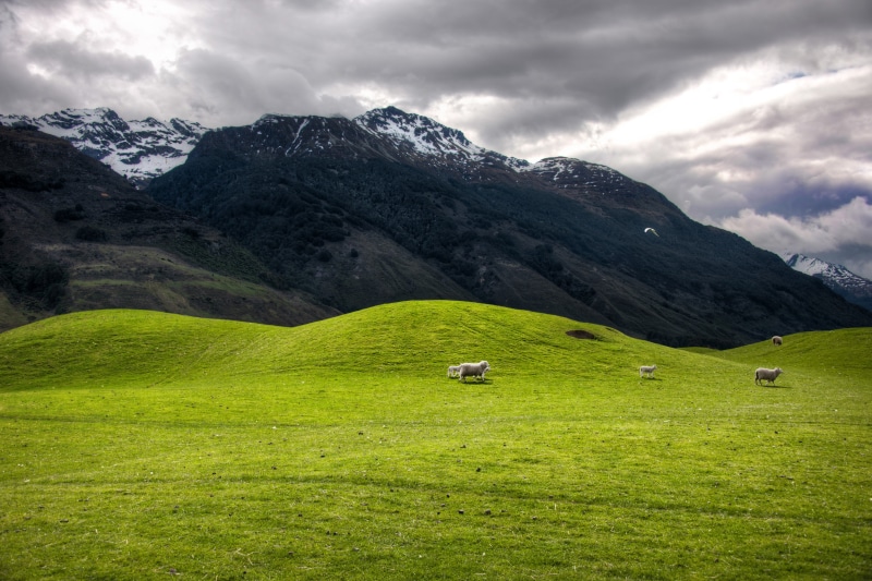 Te Wai Pounamu, scenics, lake wakatipu, hill, range, imaging, day, rural, Nikon d3x, region, software, foothills, meadow, blog, mountains, lord of the rings
