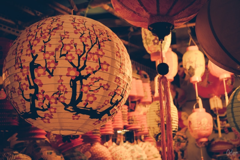 vietnam, lantern, pink, vietnamese, indoors, traditional eve, hanging, paper, china - East Asia, east Asian Culture, mid autumn, for sale, small business