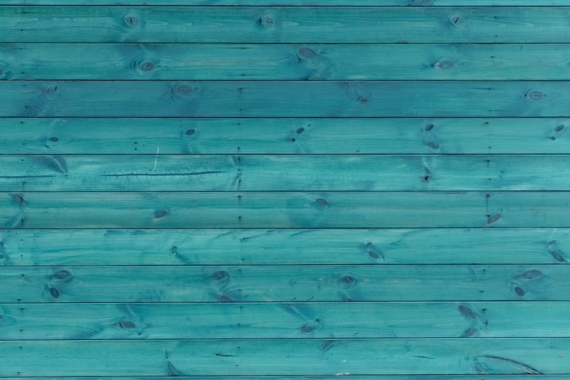 plank, canvas, wooden, purple, repetition, backgrounds, jay, plant, floor, close-up, old, weathered, hardwood, architecture, tree, bird, stained wood, green