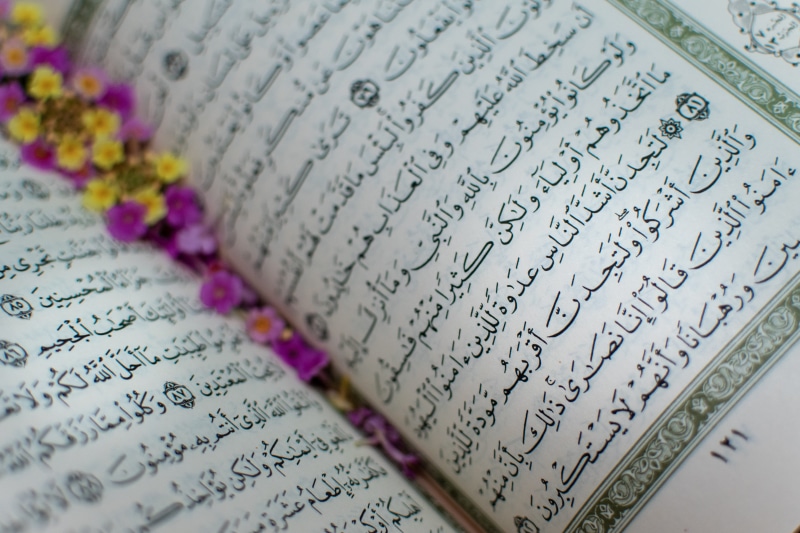 paper, calligraphy, selective focus, indoors, communication, book, blossom, close-up, script, flowering plant, belief, 121, page, diary, flower, religion
