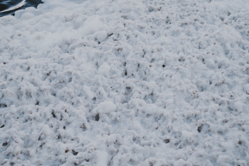 bird, winter, sea, outdoors, sports, rock, full frame, animal, furniture, covering, glacier, mountain, backgrounds, driving license, slope, golf, sideboard