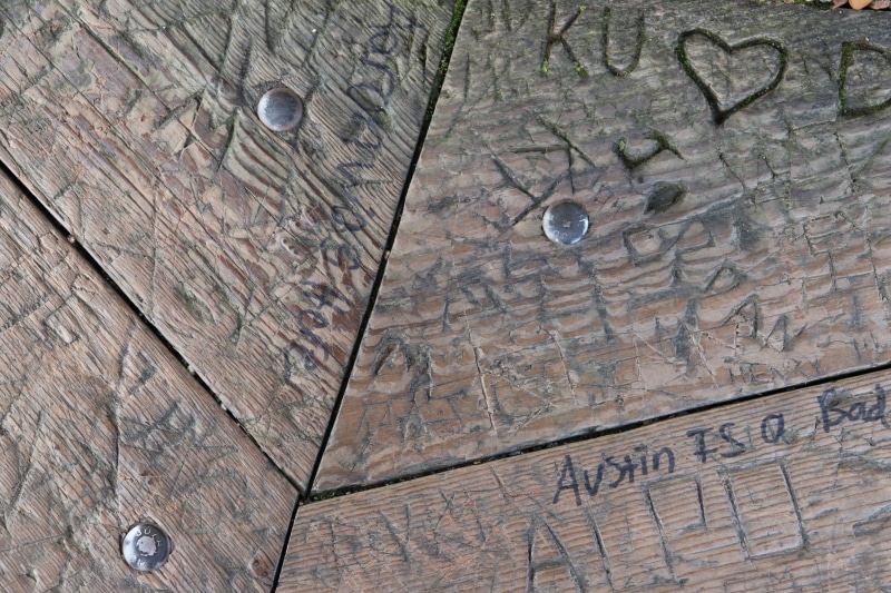 nature, wood, textured, lumber, old, hole, backgrounds, close-up, porch, tree, hardwood, texture, high angle view, pattern, brown, plywood, marks, day