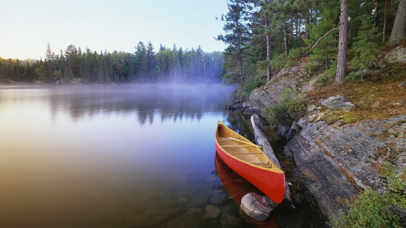 misty, idyllic, lake, morning, moored, landscape, river, canada, tranquility, mode of transportation, forest, bank, reflection, outdoors, plant, land, ontario