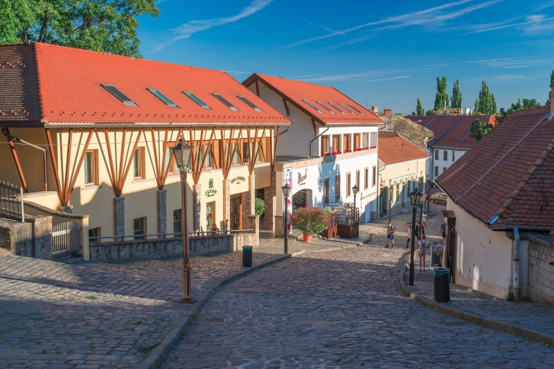 street, cityscape, no people, eger, row house, Castle, hungarian, outdoors, historical, green, castle, tower, cobblestone, roof Tile, construction, day