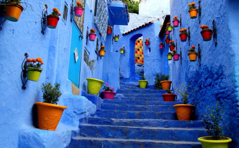 house, city, building exterior, steps and staircases, green, stairs, flowerpot, staircase, in a row, architecture, building, no people, flower pot, plant