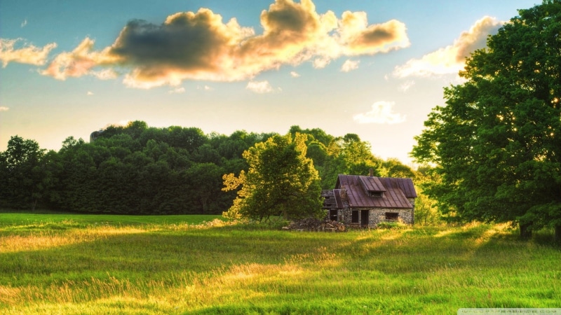 art, architecture, Clouds, houses, nature, house, hd, 1080P, Trees