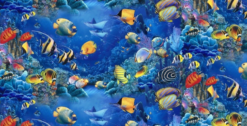 720P, paintings, underwater, aquarium, fishes