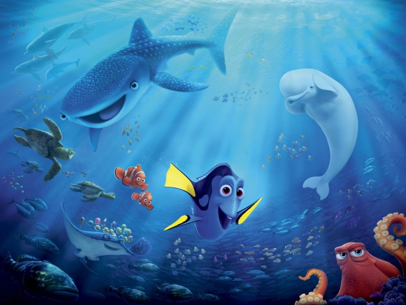 large group of animals, school of fish, marine, 1080P, animal themes, animal, Marlin (Finding Nemo), vertebrate, sea life, Crush (Finding Nemo), invertebrate