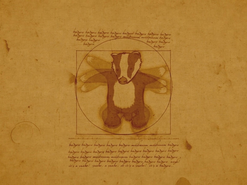 close-up, architecture, retro styled, wall - building feature, text, old, document, page, nostalgia, indoors, the past, communication, directly above, badger