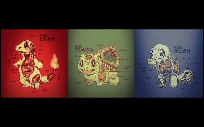 wall - building feature, close-up, indoors, studio shot, charmander bulbasaur squirtle anatomy, auto post production filter, male likeness, blue, human representation