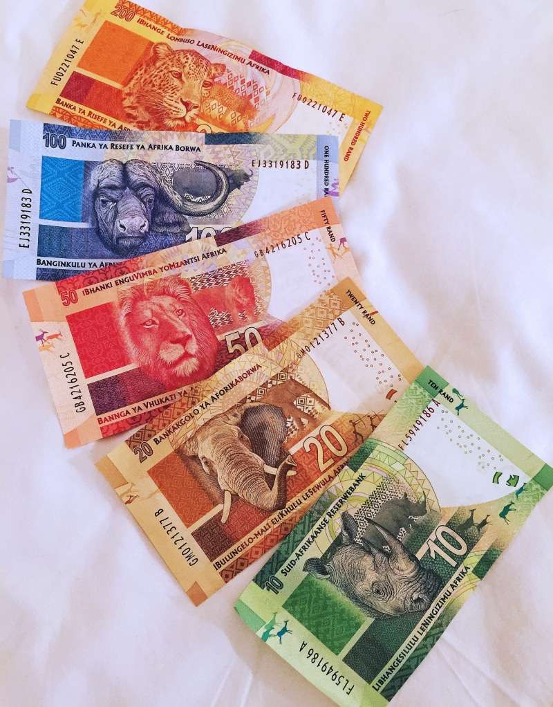 still life, adventures, wealth, postage stamp, finance, paper currency, Notes, Currency, Big 5, male likeness, cape town, 2K, directly above, safaris