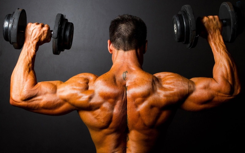 tattoo, heavy, bicep, weight, men, male Beauty, 1080P, adult, effort, body Care, one Person, human limb, dumbbells, human Arm, two, shoulder, shape, vitality