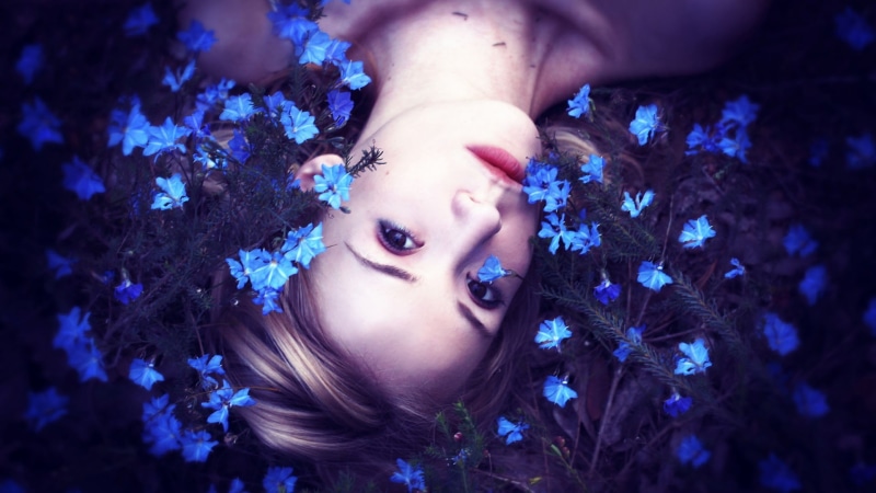 high angle view, fantasy girl, looking at camera, flower, young adult, women, hairstyle, flowering plant, human body part, one person, leisure activity