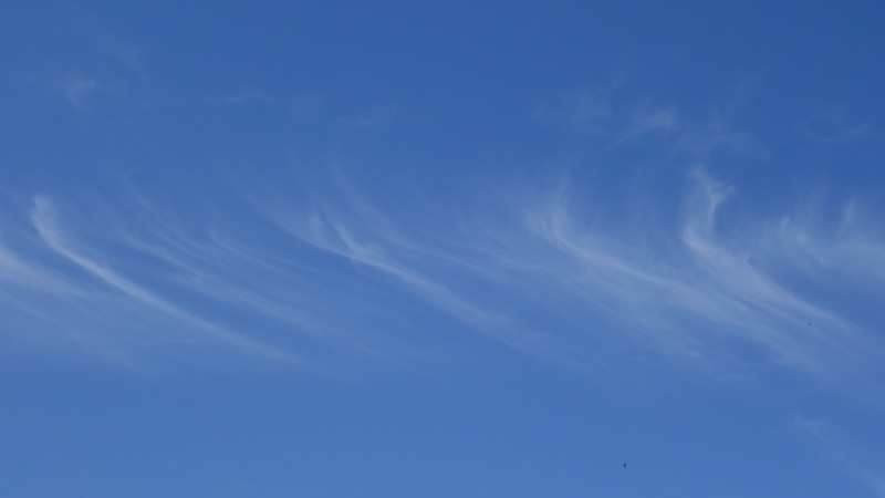 outdoors, blue, copy space, day, background, 5K, sky, filaments, backgrounds, tranquility, nature, cloud - sky, cirrus, low angle view, beauty in nature