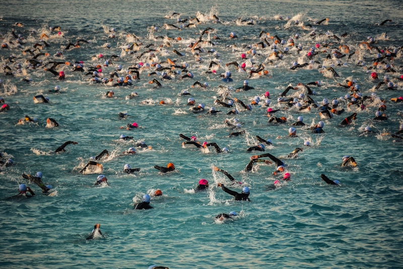 animal wildlife, animal themes, animals in the wild, water, day, crowd, 2K, start, nature, real people, high angle view, sea, ironman, group of people