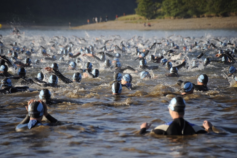 large group of animals, race, lake, vertebrate, animal, open water swim, water, sea, flock of birds, nature, 1080P, daytime, swimming, outdoors, animals in the wild