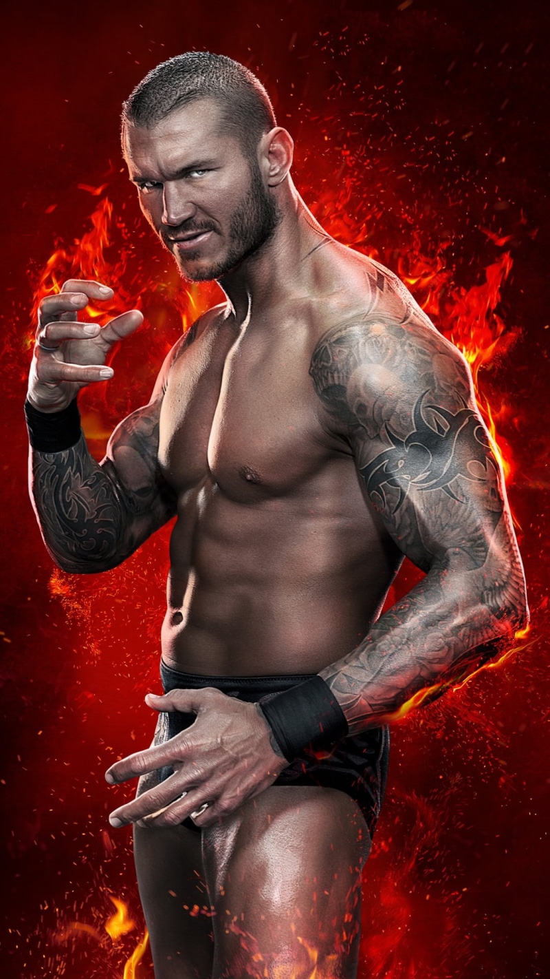 healthy lifestyle, men, hand, randy, chest, human body part, one person, randy orton, digital, adult, wrestler, boxing - sport, boxing glove, orton, WWE