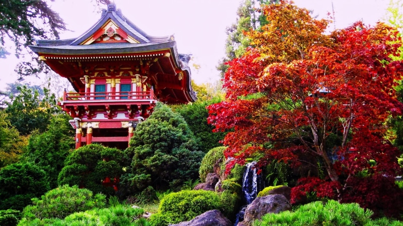 building, autumn, no people, day, growth, religion, building exterior, place of worship, change, 1080P, architecture, outdoors, spirituality, plant, beauty in nature