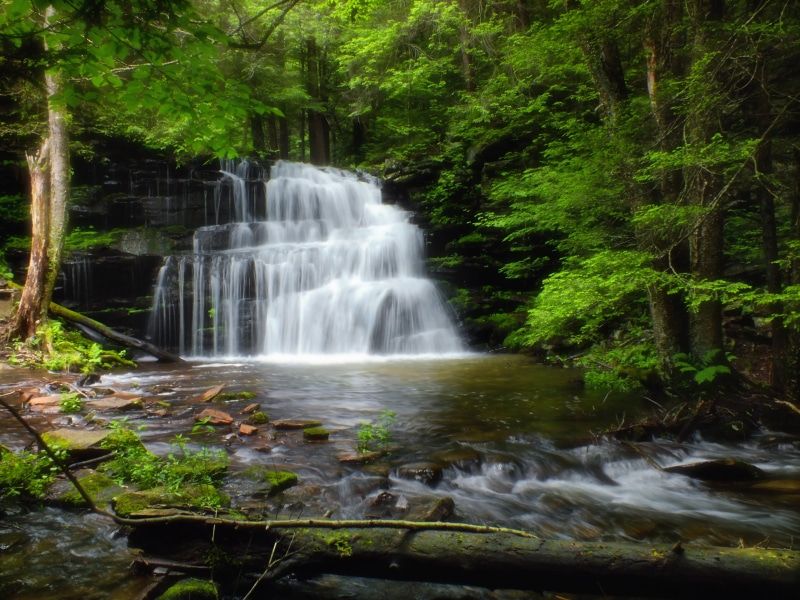 green Color, rock - Object, Revisited, scenics, Haven City, waterfall, outdoors, Lock Haven, flowing Water, ravine, leaf, stream, Creek, 4K, Falls, eastern hemlocks