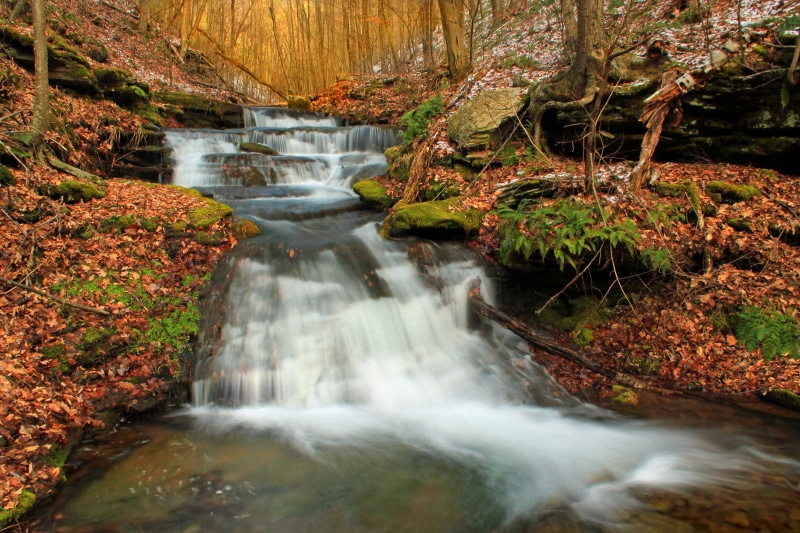 rocks, Tiadaghton State Forest, ravine, winter, scenics, trees, beauty In Nature, Golden Eagle Trail, Wolf Run, plant, leaf, freshness, cascades  waterfall