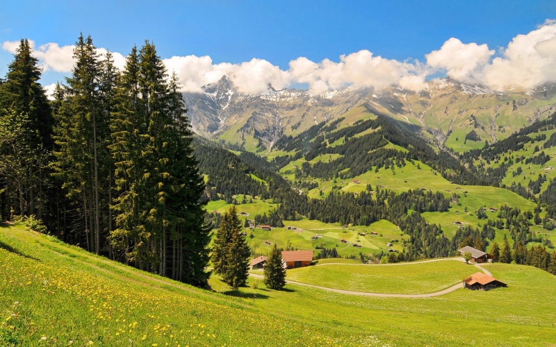 sky, clouds, house, 2K, valley, mountains, forest, Nature, flowers, spruce, grass, trees