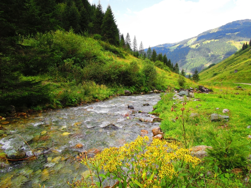 landscape, waters, tranquility, lake, Austria, alpine, idyllic, mountain stream, Meadow, korblütler, mountain, tranquil Scene, tree, land, mountains, no People