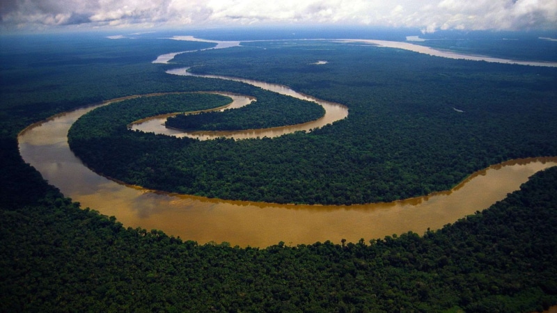 peruvian amazon, 1080P, tigre, surrounded, amazon, rainforest, river, clouds, meandering, view, water, photo, peruvian, hd, aerial, trees, body