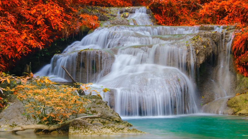 deep forest, erawan falls, scenics - nature, stream, national park, plant, land, 4K, motion, thailand, rainforest, body of water, beauty in nature, vegetation
