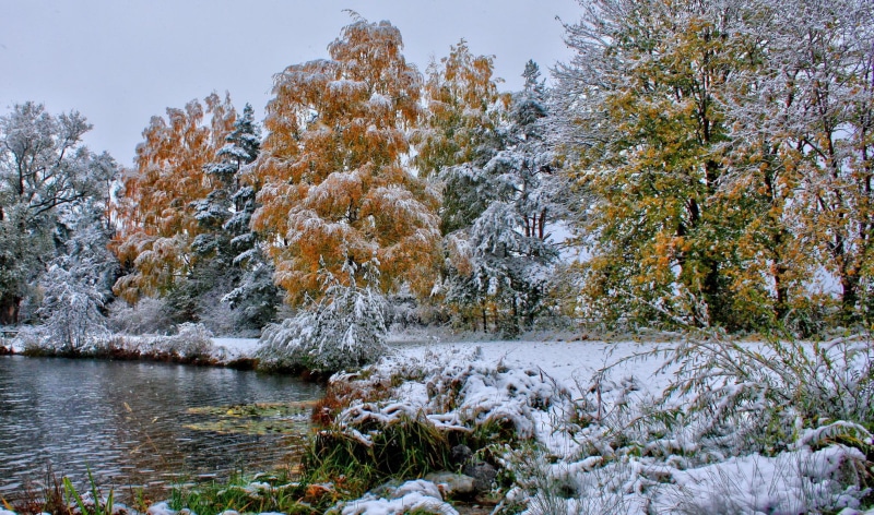 shore, forests, grass, lakes, fall, frost, landscapes, seasons, snow, cold, autumn, high, images, resolution, winter, trees, nature, 1080P, leaves
