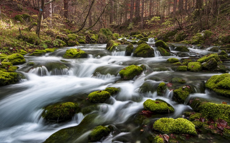 plant, 4K, motion, beautiful, green, river, rainforest, stream - flowing water, solid, desktop, hd, clear, non-urban scene, white, mountain