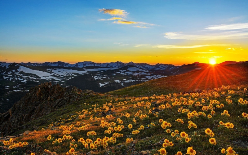 1080P, colorado, spring, sun, stone, mountain, landscape, meadow, usa, rays, yellow, flowers, peaks, beautiful, sunset
