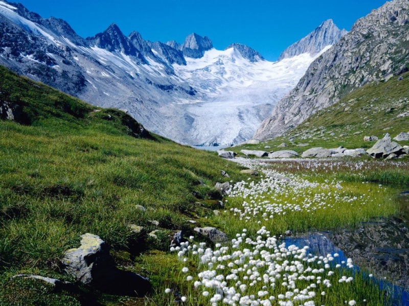nature, switzerland, flowers, river, rocks, blue, 480P, cliff, white, landscape, photography, mountains, sky, green
