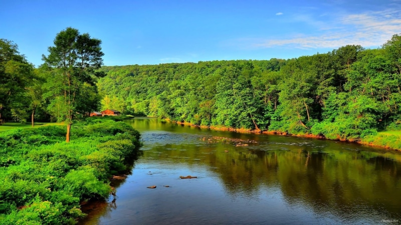 1080P, green, river, water, landscape, blue, leak, nature, sky, forest, dense, desktop, hd, trees, summer