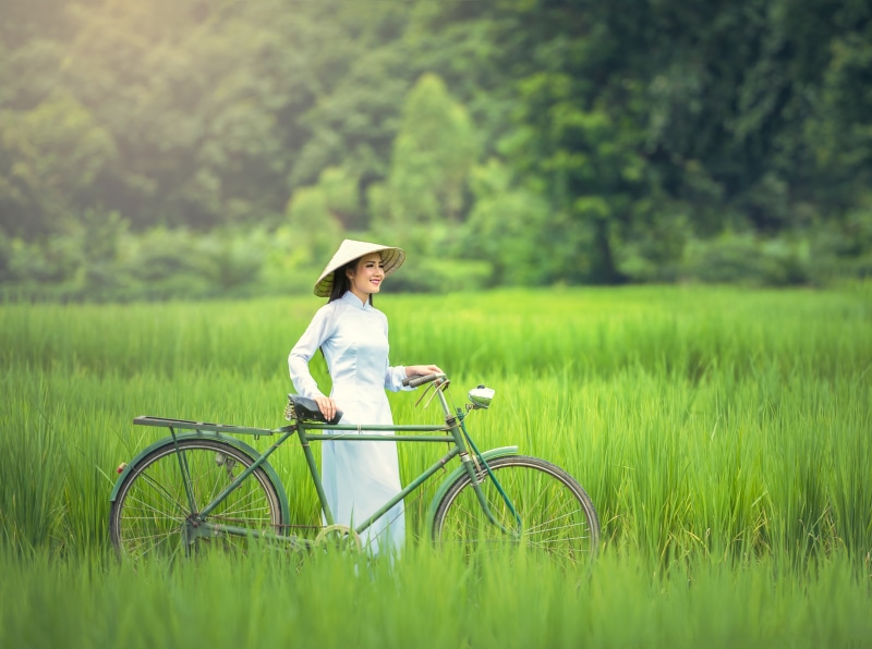 Rice, visit, green color, asian conical hat, landscape, tourism, water, Dress, Others, leisure activity, Woman, Lipstick, adult, young adult, Nature, Middle