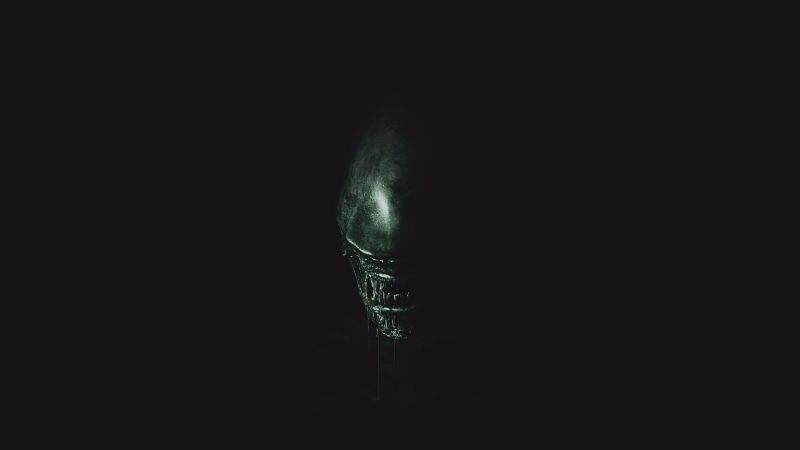 Prometheus 2, body part, slayer, 4K, hunter, Alien 6, monster, cut out, indoors, copy space, murderous beast, close-up, beast, darkness, simplicity, science fiction