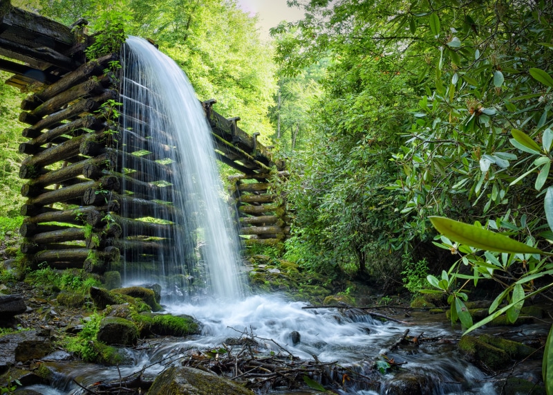 Smokey Mountains, Mills, surrounded, stream, tree, green, waterfalls, forest, green leaf, Spillway, landscape, outdoors, trees, ngc, Vacation, waterfall