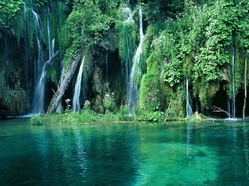 vegetecion-naturaleza-paisaje-, selva-cascadas-, 2K