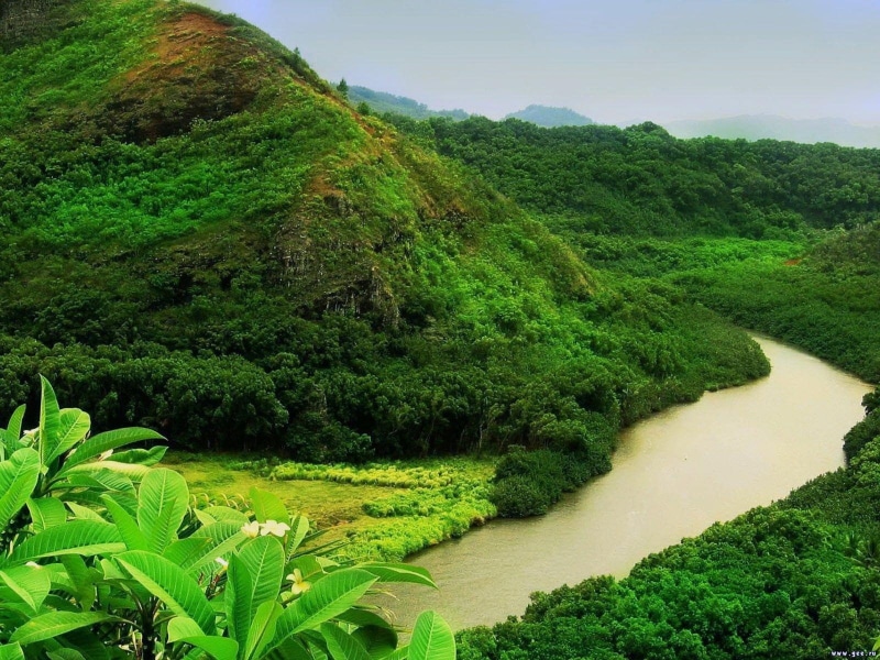 720P, naturaleza, amazonas, rio, selva
