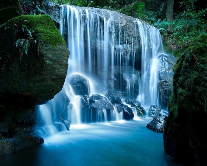 selva, catarata, naturaleza, 2K
